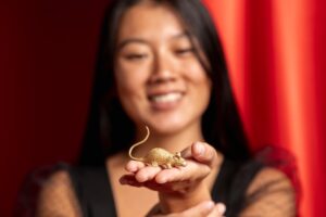 Chinesisches Sternzeichen Ratte-Frau – Eigenschaften und Bedeutung des Sternzeichens Ratte